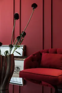 A modern, red upholstered sofa with a tufted design sits against a red paneled wall.