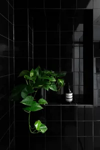 A minimalist black tile bathroom with greenery and a bottle of Aesop product.