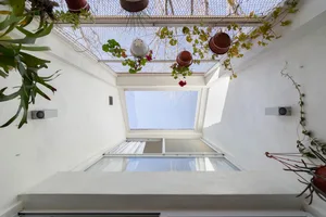 A modern indoor space with a glass ceiling and hanging flowerpots.