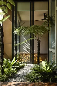 Modern entrance garden featuring glass doors, cactus, and a cactus plant.