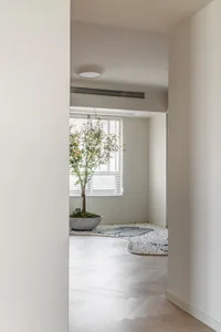 Minimalist indoor garden featuring white porcelain elements and a small tree.