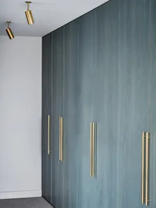 Modern wooden closet with sleek handles and brass fixtures.