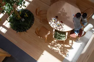 Modern interior space with a round wooden table surrounded by chairs, natural light casting shadows, and a potted plant.