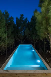 A modern swimming pool illuminated at night surrounded by trees in a serene outdoor setting.