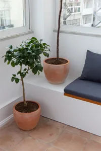Modern interior design with ceramic planters and a cushioned bench seat.