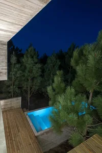 A modern residential garden featuring a concrete pool and wooden deck at night.