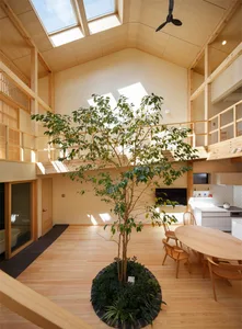 A minimalistic residential interior space with wooden flooring, a central tree, and open-concept design.