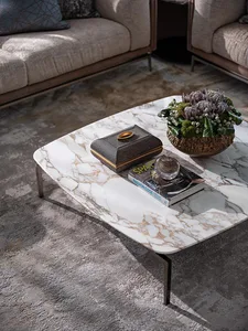 Modern living room with a marble coffee table, a book, and a flower arrangement.
