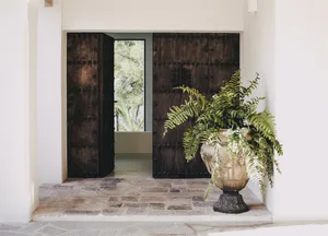 A modern entrance hall featuring dark wooden walls, a large green fern plant in a decorative planter, and a stone pavement fl
