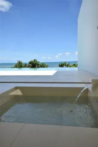 Modern vacation home with a glass infinity pool overlooking the ocean.