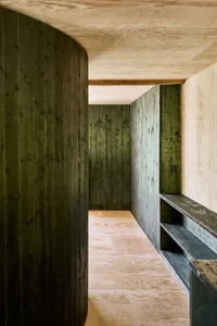 Modern interior design featuring wooden panels on walls and floors.