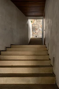 Concrete staircase with textured surface and wooden ceiling.