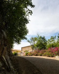 A curved, wooden pathway bordered by pink flowers and lush greenery.