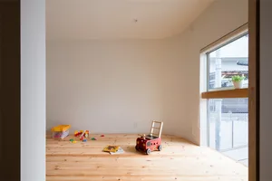 Minimalist living room with hardwood flooring, toys, and a flowerpot on the windowsill.