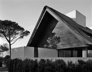 A modern exterior house with a wooden roof.