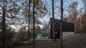 A modern black-clad house nestled among trees with a paved path and a lit entrance.