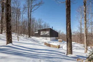 Modern wooden cabin surrounded by snow and trees