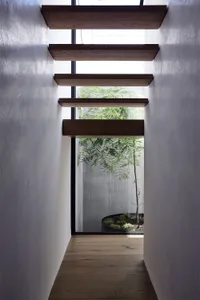 Modern light-filled hallway featuring wooden shelves and a tree growing in a planter.