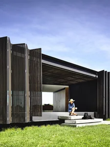 A modern minimalist exterior featuring wooden panels and an open-air living area with a person and a dog.