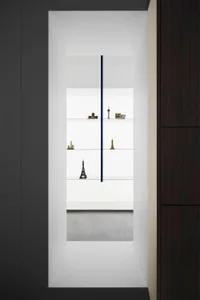 Modern minimalist interior with glass shelves and dark wooden cabinets.