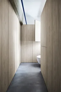 Modern bathroom with wooden walls and floor