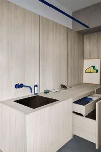 Modern residential bathroom with wood cabinets and a sink.