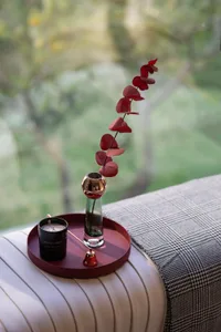 A decorative arrangement featuring a metal plant stand with a red leaf branch and a scented candle on a round tray.