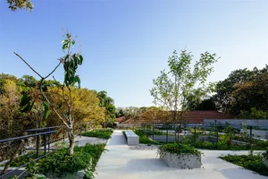 混凝土步道兩側環繞綠意與植物的庭園景觀。