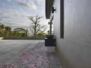 Concrete pavement with scattered pink petals in a modern backyard setting