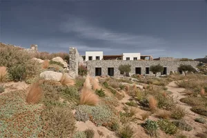 A modern house with stone walls and a flat rooftop surrounded by wild vegetation.