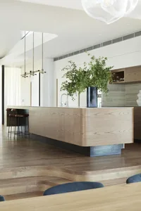 Modern kitchen with wooden finishes, contemporary fixtures, and green plant.