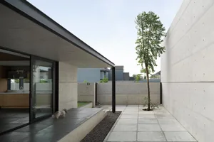 A modern, minimalist home exterior with a concrete wall, large glass window, and a small tree planted in a concrete planter.
