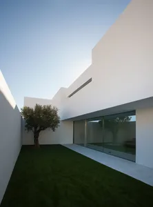一棟擁有玻璃牆的現代白色住宅，庭院中有一棵樹。