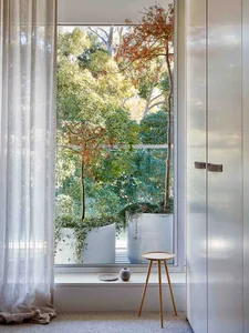 A minimalist interior design featuring potted plants and trees, creating a serene and modern space.