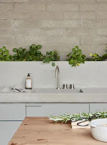 Modern minimalist residential kitchen with concrete countertop and fixtures, featuring greenery and sleek design.