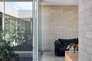 Modern living room with a dark grey couch against a textured concrete wall and a wooden coffee table, featuring a plant and v