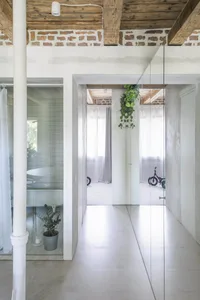 A modern interior space with minimalist design, white walls, and concrete flooring, featuring a hanging plant in the hallway.