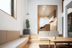 Modern minimalist living room with wooden furniture and a potted plant