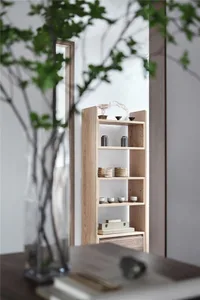 Minimalist interior space featuring wooden shelves with decorative items.