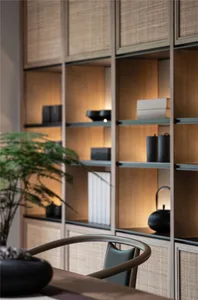 Minimalist interior design featuring a wooden shelving unit with books, plants, and decorative objects.
