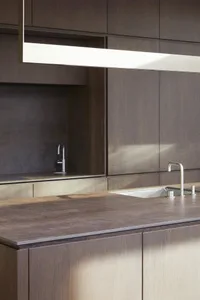 Modern minimalist kitchen with wooden cabinets and sleek design.