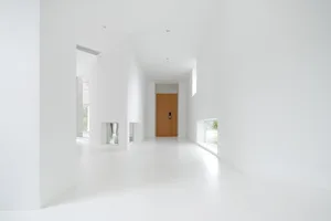 A minimalist indoor space with white walls, concrete flooring, and a wooden door.