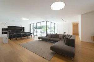 Contemporary living and dining room featuring a modern grey sofa, hardwood floors, and large windows.