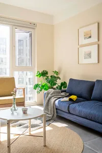 A minimalist living room with a blue sofa, green plant, and round coffee table.