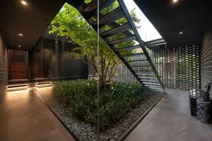 Modern indoor garden enclosed by a glass wall, featuring a tree and plants.