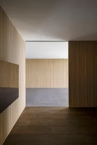 Modern interior design featuring a wooden slat entrance way with a contrasting textured floor.