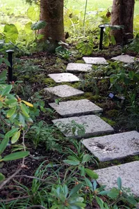 A stone garden path with green foliage.