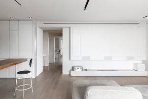 Modern minimalist living room with white cabinets, wooden flooring, and a white couch.