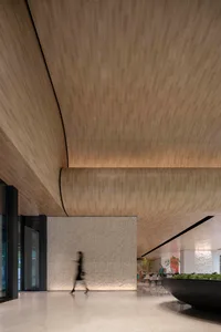 Modern interior design featuring wooden paneling
