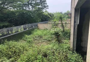 Concrete garden area with green plants growing around it, surrounded by a metal fence and a building.